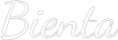 Custom LED Neon Sign: Bienta